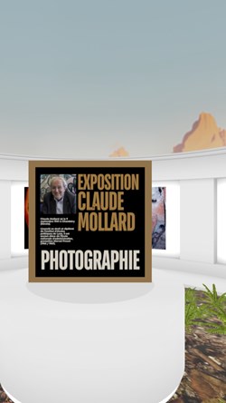 Galerie Claude Mollard