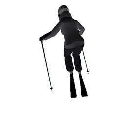 Lady skiing