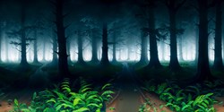 magnific-foretmilieu