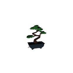 Bonsai