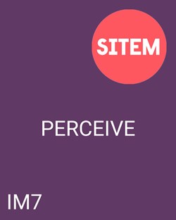 Sitem (6)