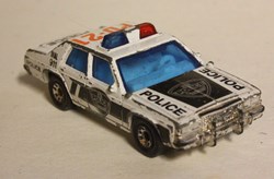 Ford Police