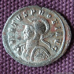 Probus Cyzique RIC 904