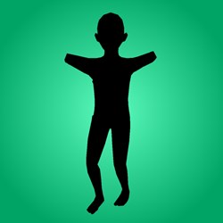 Chicken Dance