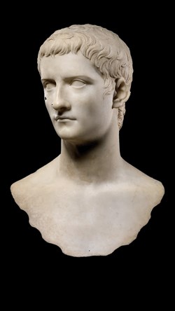 Buste d'Homme "Maximus" (40 avant J.C.)