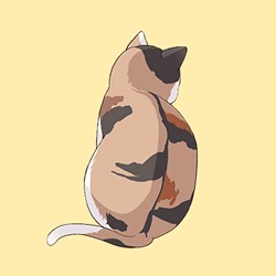 Meow