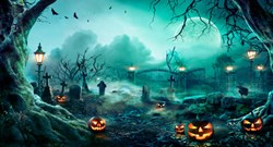 Halloween decor 1