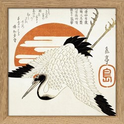 GRUS JAPONENSIS