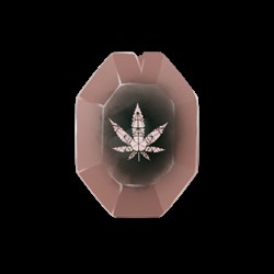 Old Cyrus x MC2 Shard