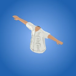 Guayabera Shirt