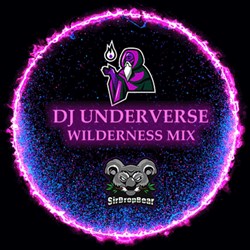 DJ Underverse presents Wilderness Mix
