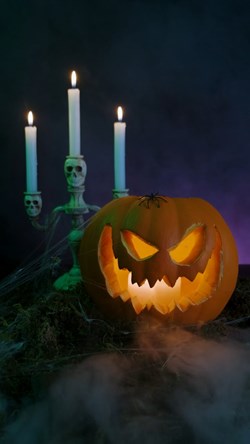 Video pumpkin 4
