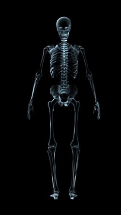 Video skeleton 2