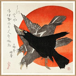 CROWS