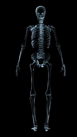 Video skeleton 5