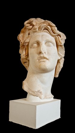 Buste d'Homme "Maximus" (40 avant J.C.)