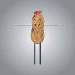 Couch Potato