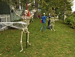 Garden decor