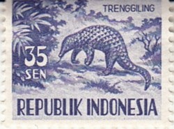 1956 trenggiling Indonesia