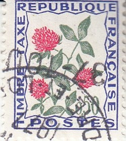 1964 Fleur des champs, treffles [0101]