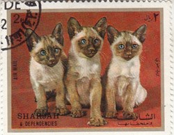 SHARJAH & DEPENDENCIES Air mail