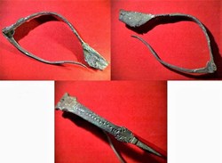 fibule