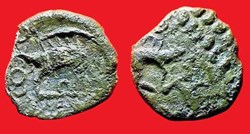 bronze au sanglier enseigne