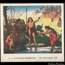 gaulois primitifs : le nouveau né