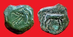 bronze au loup et au sanglier