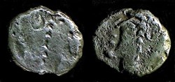 incus - denier TOGIRIX