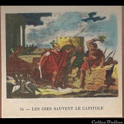 les oies sauvent le capitole