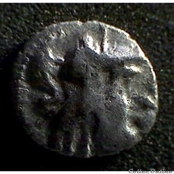 DT série 377 minimi à la tête de pallas