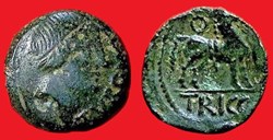 bronze TVRONOS / TRICCOS