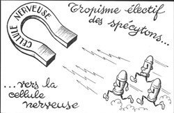 PIERRE SOYMIER f2 - laboratoire MICHEL ROBILLIART