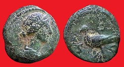 DOMITIA