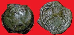 bronze CRICIRONIS type 5