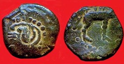 bronze au sanglier
