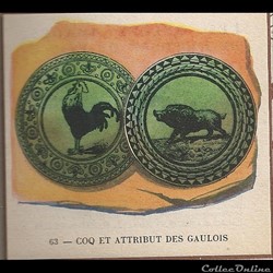 coq et attribut des gaulois