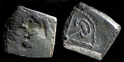 drachme aux feuilles aquatiques - a