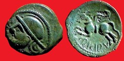 bronze CRICIRV barbu aux esses et annelet type 3