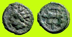 potin au sanglier enseigne - a