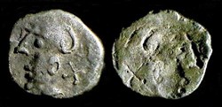 denier à la tête casquée - type 1a