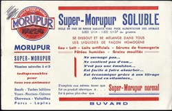 buvard - alimentation