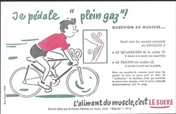 buvard - alimentation sucre