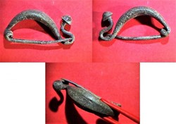 fibule gauloise
