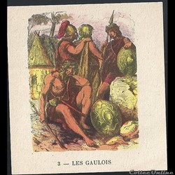 les gaulois