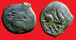 bronze au loup et au pégase au W