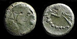 denier à l'hippocampe