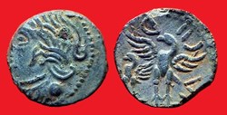 bronze CALIAGIID