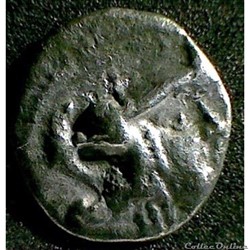 DT série 377 minimi d'argent à la tête de Pallas aux oiseaux